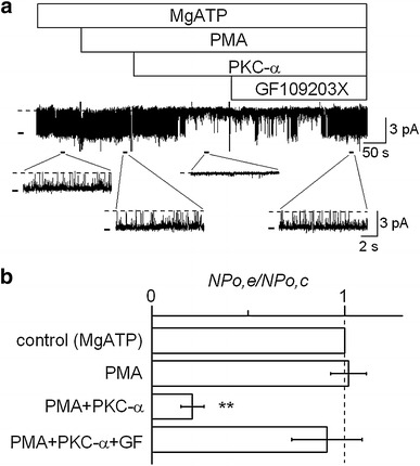 Fig. 3