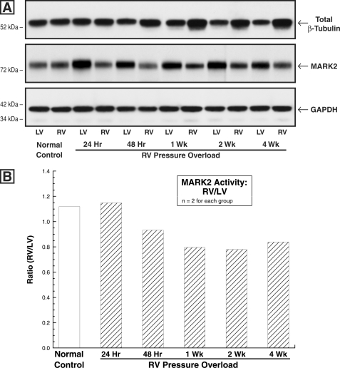 FIGURE 11.