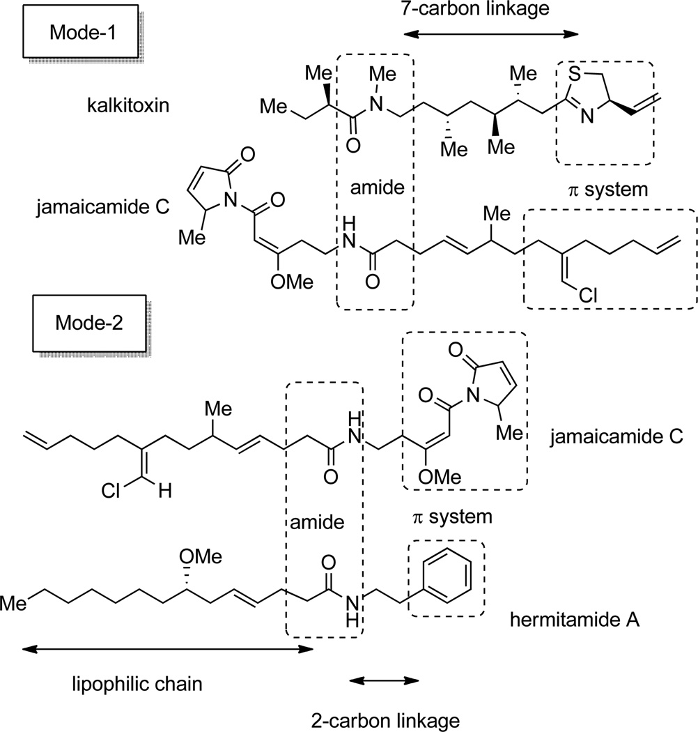 Scheme 5