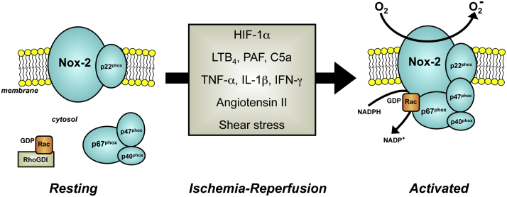 Fig. 5