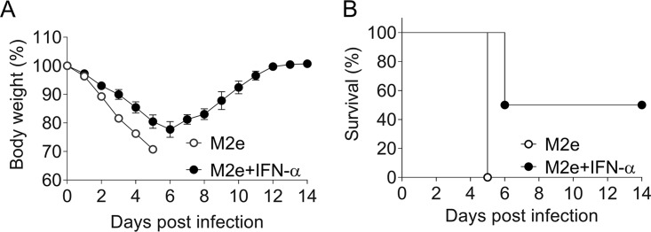 FIG 4