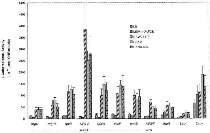 FIG. 3