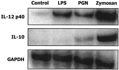 FIG. 2.