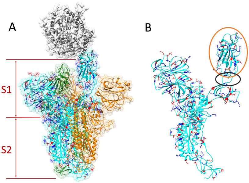 Figure 2.