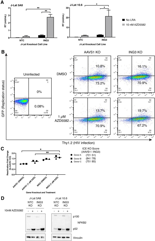 Fig 6