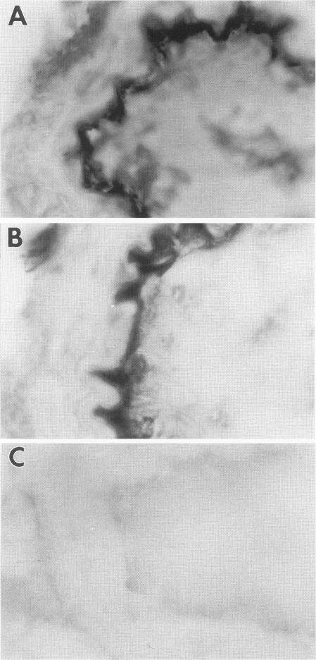 FIG. 8