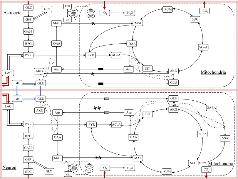 FIG. 1.