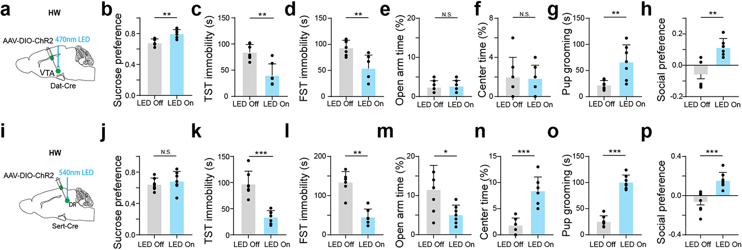 Extended Data Fig. 8.