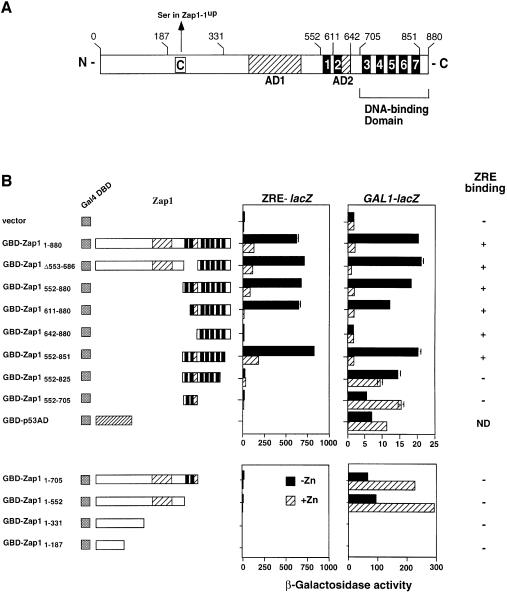 graphic file with name cdd367f3.jpg