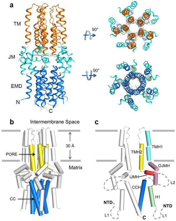 Architecture of the Mitochondrial Calcium Uniporter - PMC