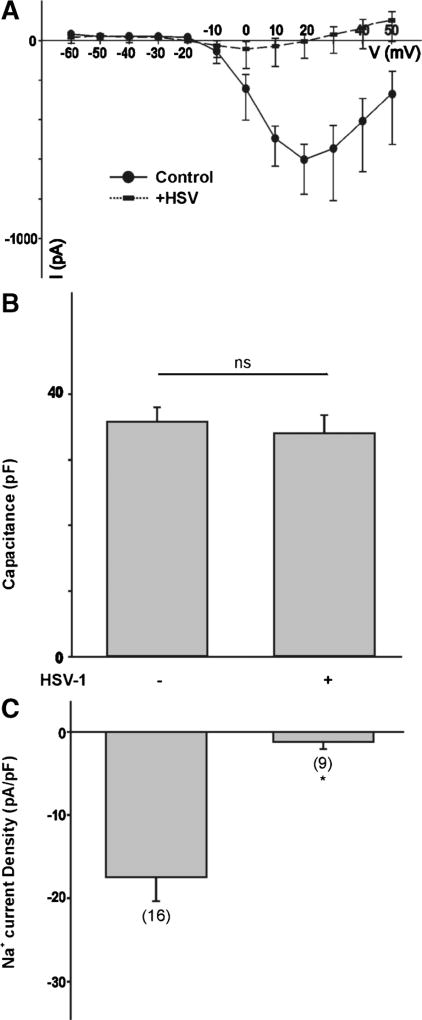 Fig. 9