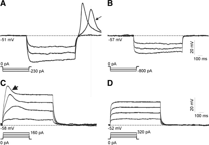 Fig. 8