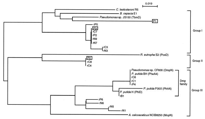 FIG. 3