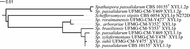 Fig. 1