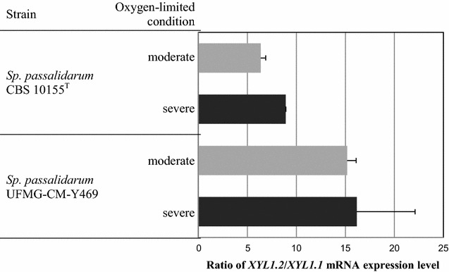 Fig. 2