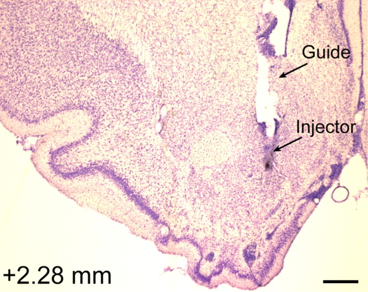 Figure 6.