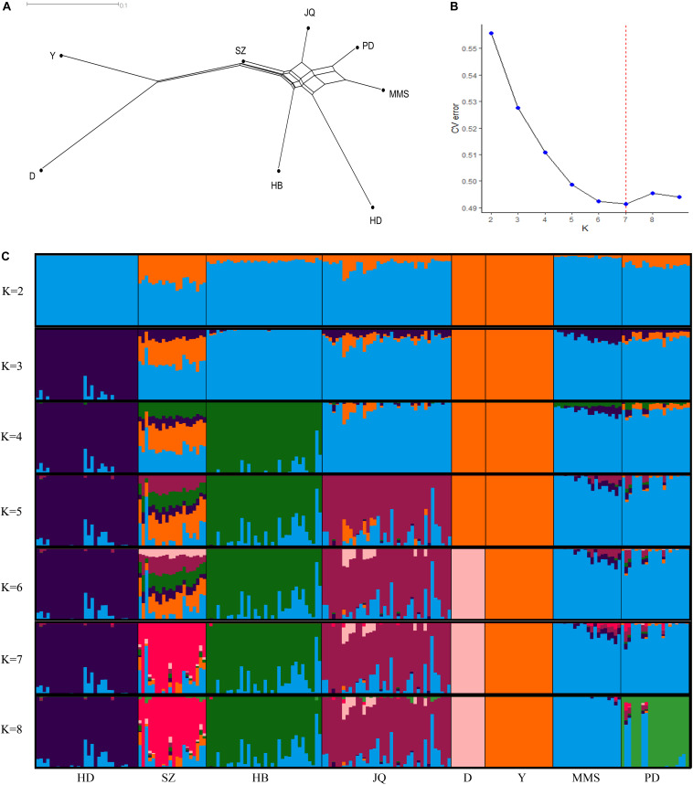 FIGURE 1