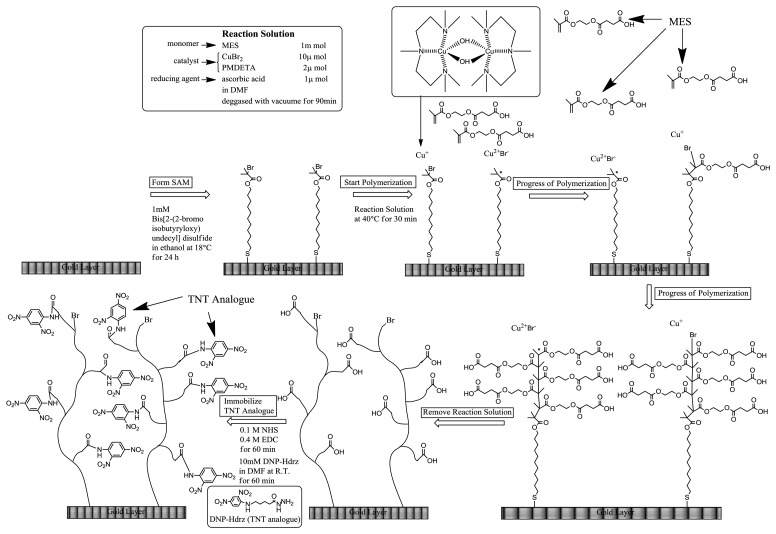 Scheme 1.