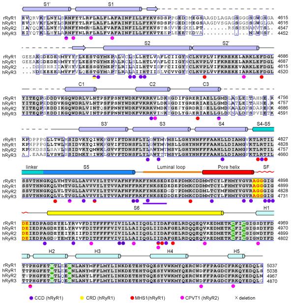 Extended Data Figure 7