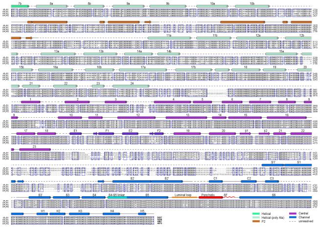 Extended Data 5