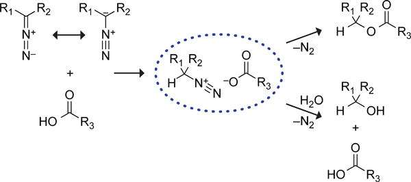 Scheme 1