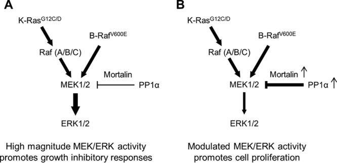 FIG 11