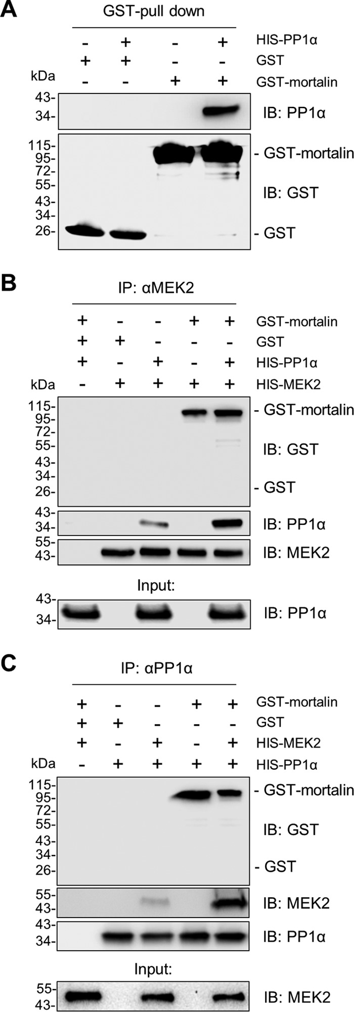 FIG 5