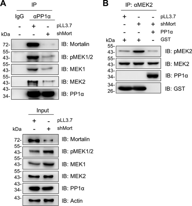 FIG 6