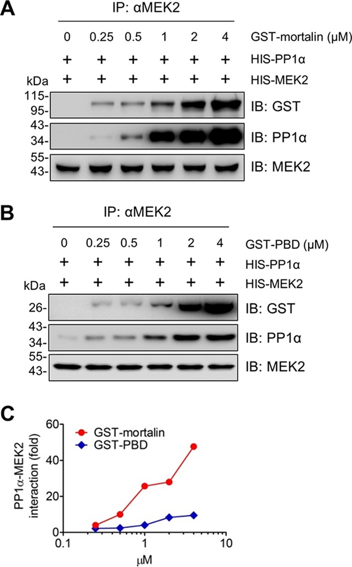 FIG 8