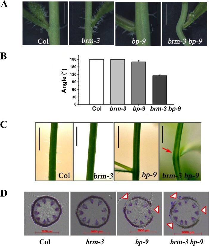 Fig 4