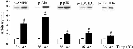 Fig. 4