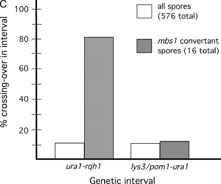 Figure 2.—