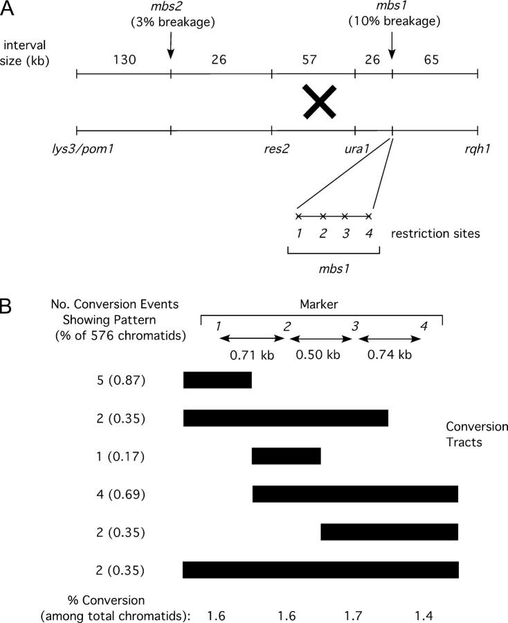 Figure 2.—