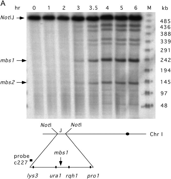 Figure 1.—