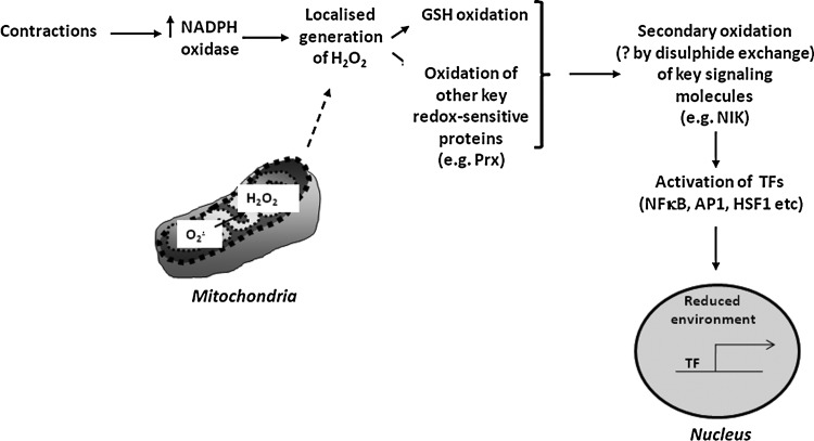 FIG. 7.