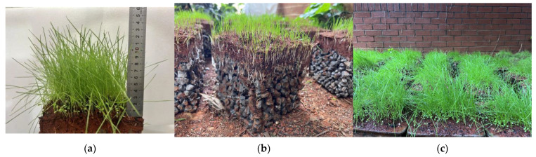Figure 13