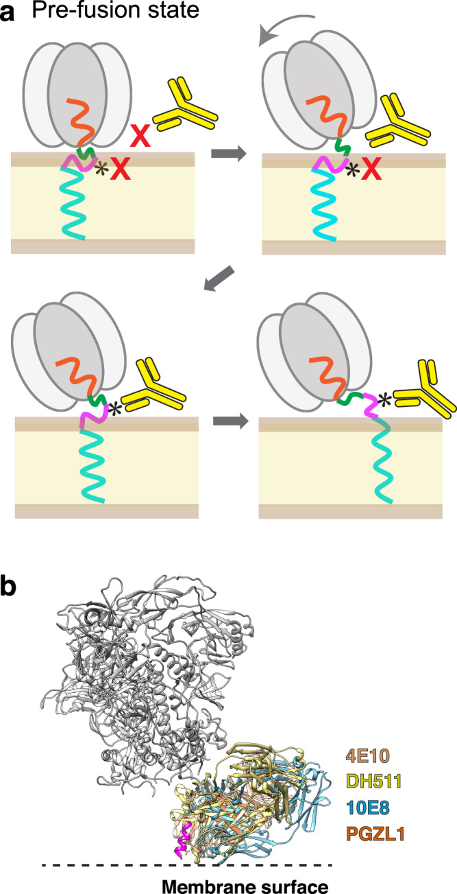 Fig. 6