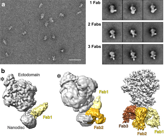 Fig. 3