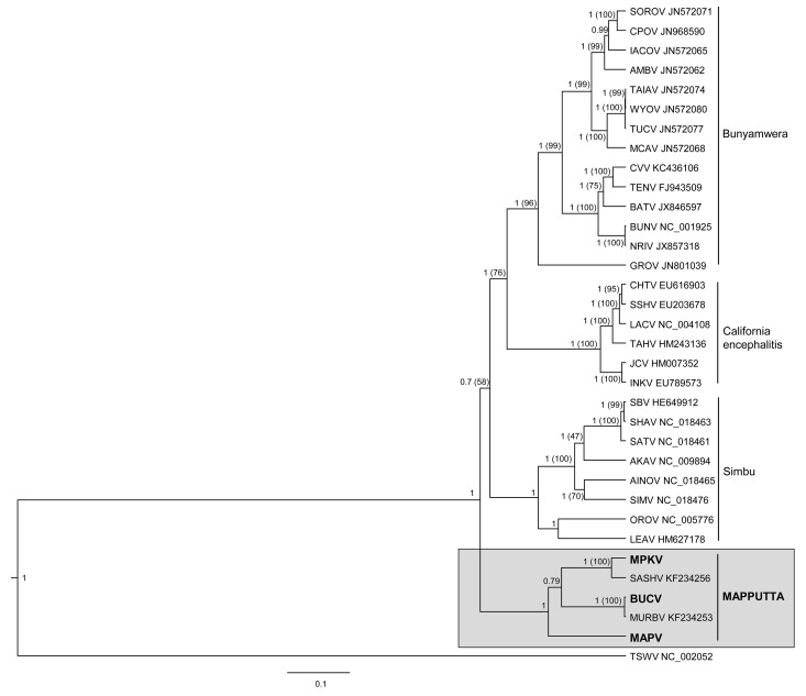 Figure 6