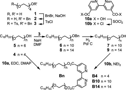 Scheme 1.