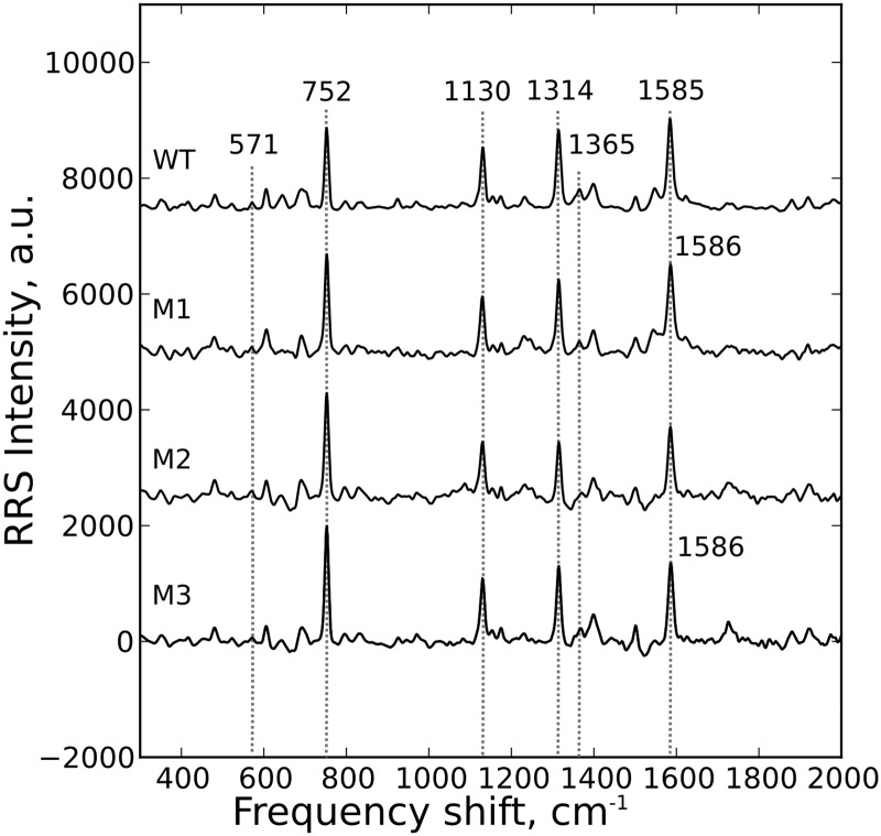 Fig 5