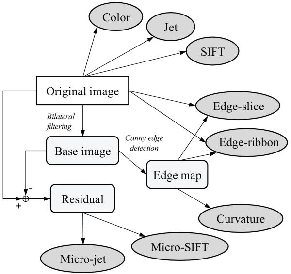 Fig. 8