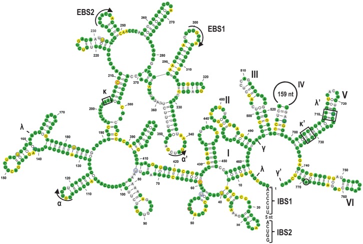 FIGURE 3.