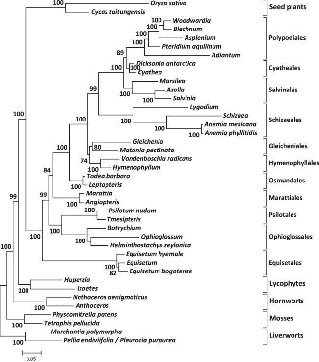 FIGURE 6.