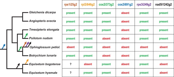 FIGURE 5.