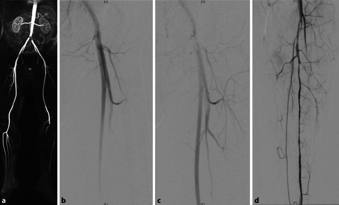 graphic file with name 772_2021_746_Fig1_HTML.jpg