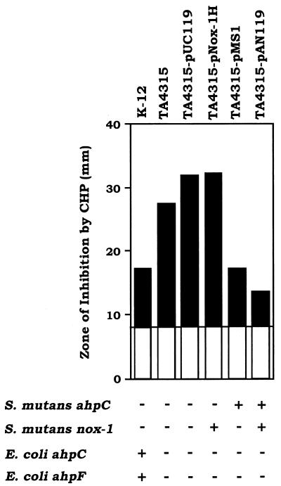 FIG. 5