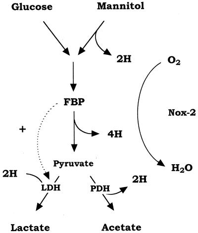 FIG. 7