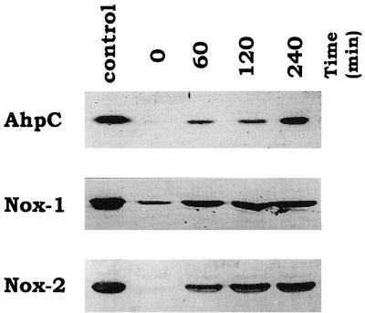 FIG. 1