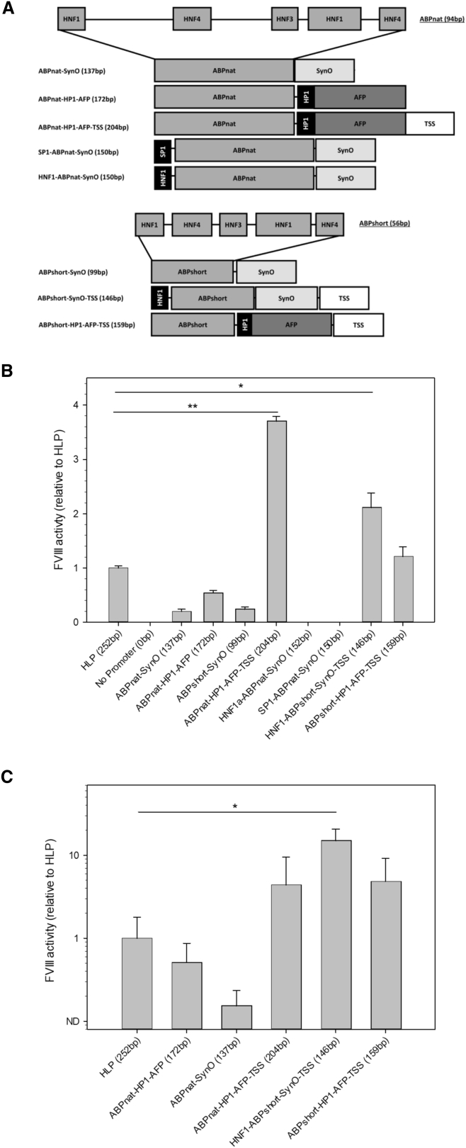 Figure 1